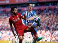 Nhận định bóng đá Liverpool vs Brighton, 19h30 ngày 28/11