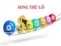 Song thủ lô là gì? thông tin song thủ lô miền bắc chuẩn