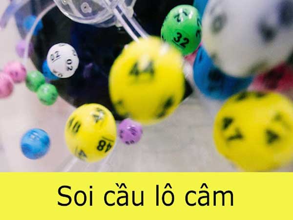 Dựa vào cầu hoặc đuôi câm để bắt lô đề