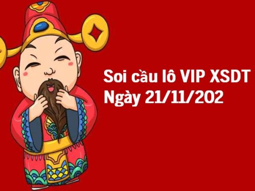 Soi cầu lô VIP XSDT 21/11/2022 hôm nay