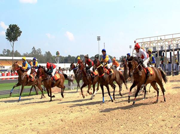 Giới thiệu về trường đua ngựa Sóc Sơn