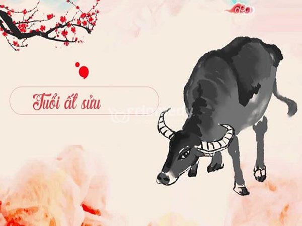 Tổng quan về người tuổi Ất Sửu ngày 16/5/2025 thứ 6 hôm nay