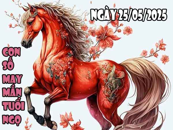 Cặp số đẹp may mắn tuổi Ngọ ngày 25/5/2025 chủ nhật hôm nay