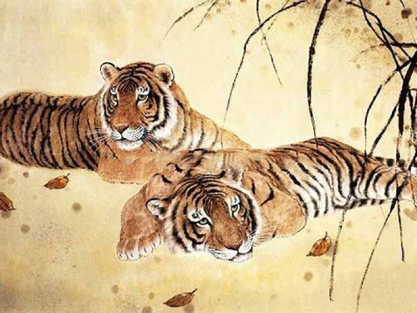 Tổng quan tử vi tuổi Dần ngày 28/6/2025
