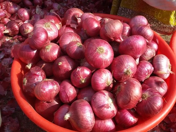 Nằm mơ thấy củ hành: Hé lộ điều may mắn bất ngờ