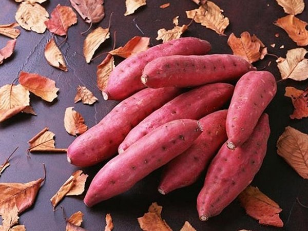 Khám phá bí ẩn khi nằm ngủ mơ thấy củ khoai