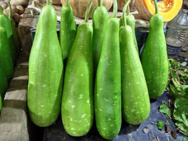 Chiêm bao thấy hái quả bầu