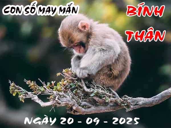 Con số may mắn tuổi Bính Thân ngày 20/9/2025 thứ 7 hôm nay