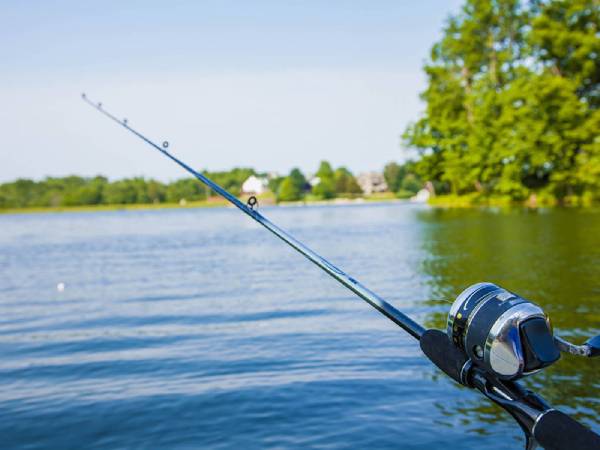 Giải mã giấc mộng thấy đi câu cá dưới góc nhìn phong thủy