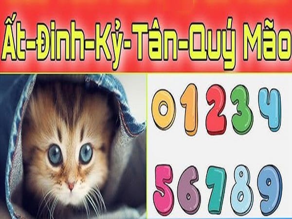 Bật mí những con số may mắn ngày 13/3/2026 tuổi Mão