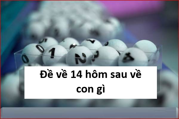 Tham khảo ngay đề về 14 hôm sau về con gì may mắn?