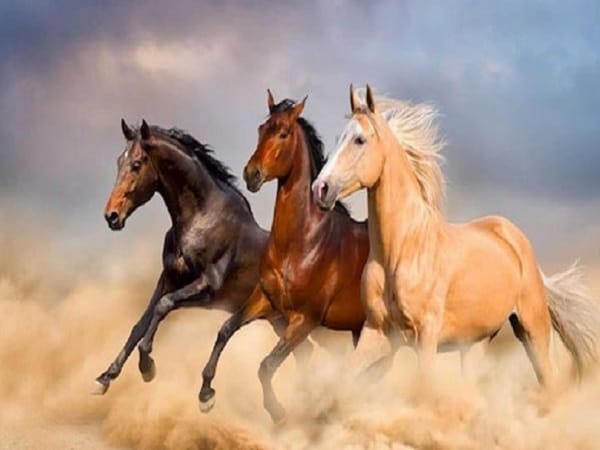 Tổng quan vận trình tuổi Ngọ ngày 27/4/2026