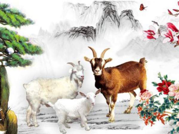 Con số may mắn thứ 7 ngày 2 tháng 5 năm 2026 tuổi Mùi theo thần số học