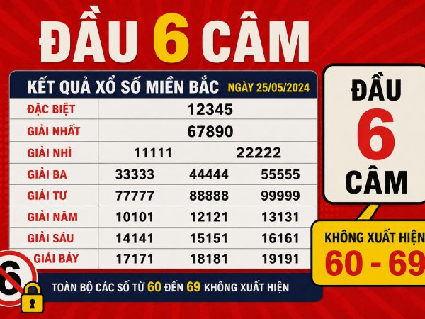 Thống kê đầu 6 câm và những con số đáng chú ý hiện nay