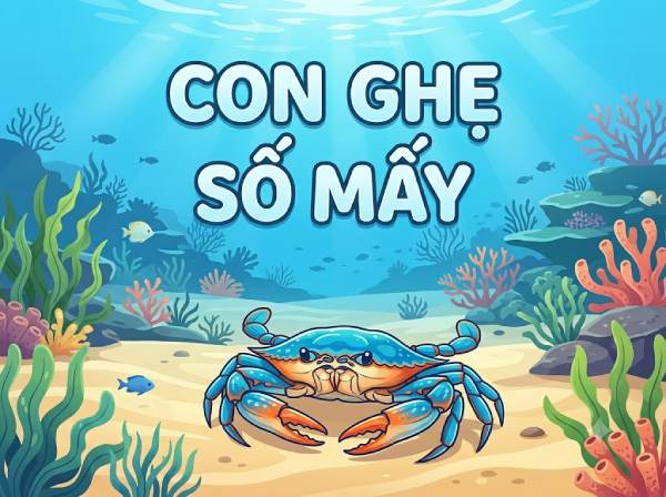 Tham khảo ý nghĩa con ghẹ số mấy, số gì thu hút tài lộc